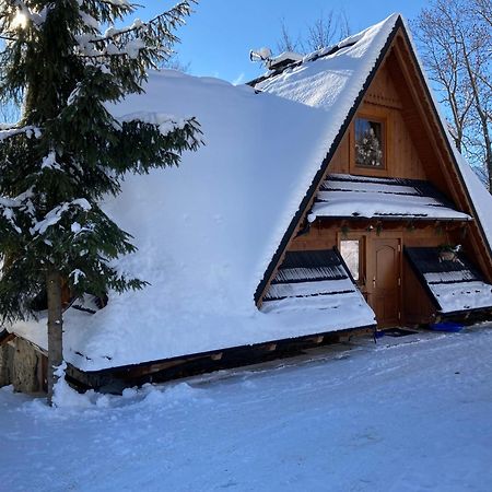 Casa Mountana Lägenhet Kościelisko Exteriör bild